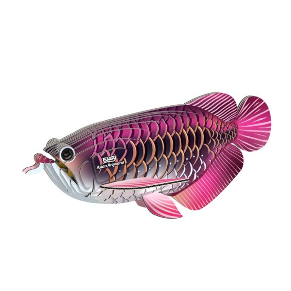 Eugy dodoland - Asian arowana - Imagen 2