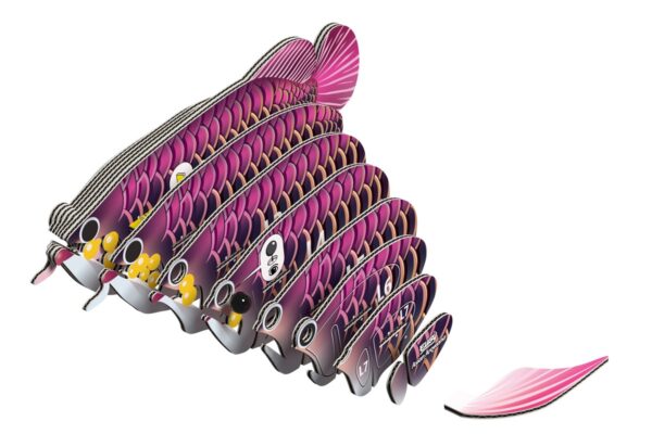 Eugy dodoland - Asian arowana - Imagen 3